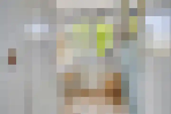 Gajus Nautastraat 4 Sneek thumbnail 26