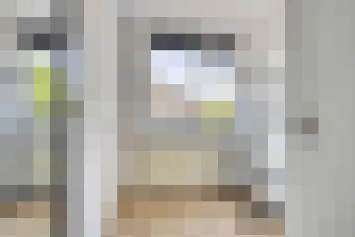 Gajus Nautastraat 4 Sneek thumbnail 27