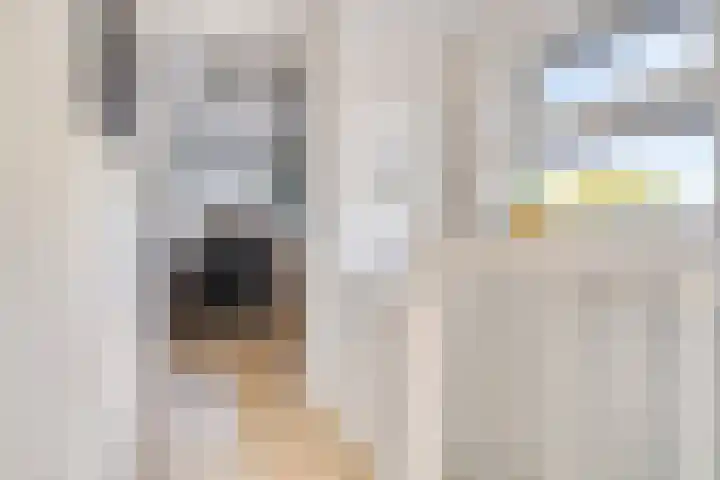 Gajus Nautastraat 4 Sneek thumbnail 31