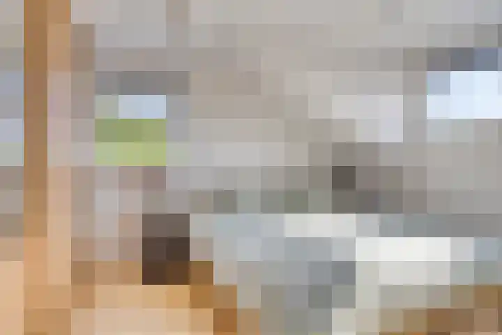 Gajus Nautastraat 4 Sneek thumbnail 34