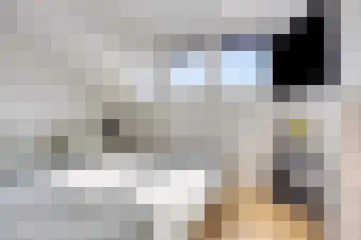 Gajus Nautastraat 4 Sneek thumbnail 35