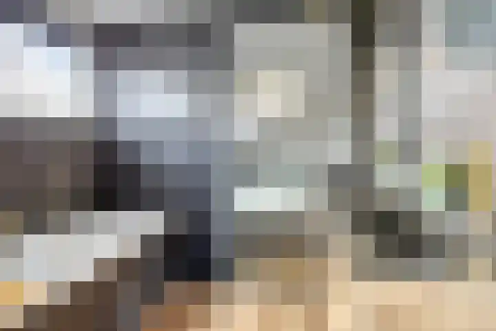 Gajus Nautastraat 4 Sneek thumbnail 36
