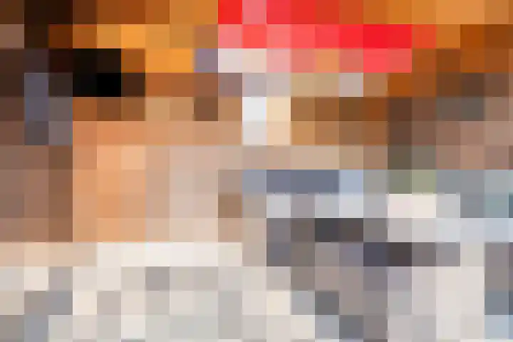 Gajus Nautastraat 4 Sneek thumbnail 38