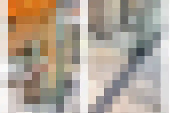 Gajus Nautastraat 4 Sneek thumbnail 42