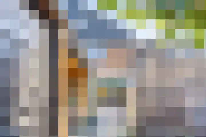 Gajus Nautastraat 4 Sneek thumbnail 5