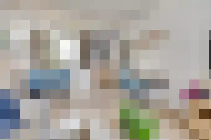 Gajus Nautastraat 71 Sneek thumbnail 12