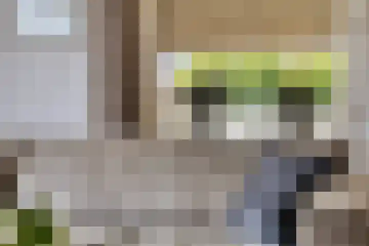 Gajus Nautastraat 71 Sneek thumbnail 13