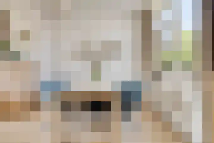 Gajus Nautastraat 71 Sneek thumbnail 14
