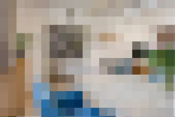 Gajus Nautastraat 71 Sneek thumbnail 15
