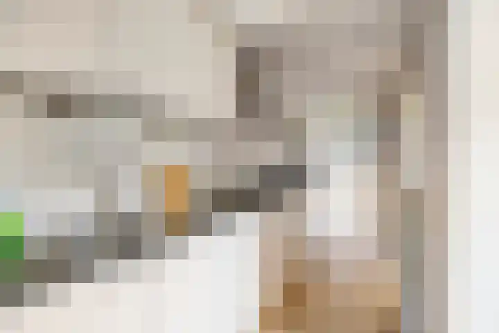 Gajus Nautastraat 71 Sneek thumbnail 17