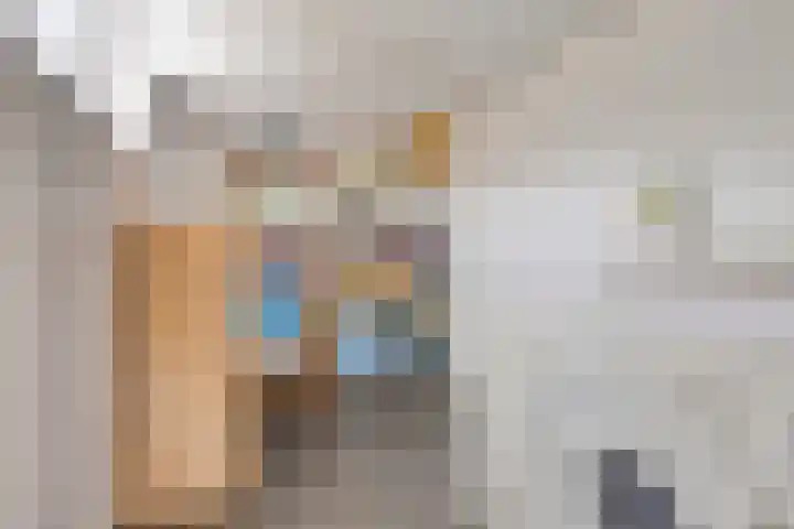 Gajus Nautastraat 71 Sneek thumbnail 18