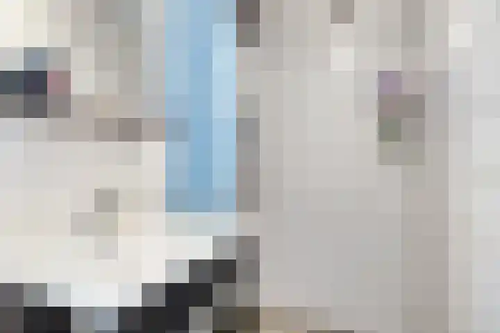 Gajus Nautastraat 71 Sneek thumbnail 22