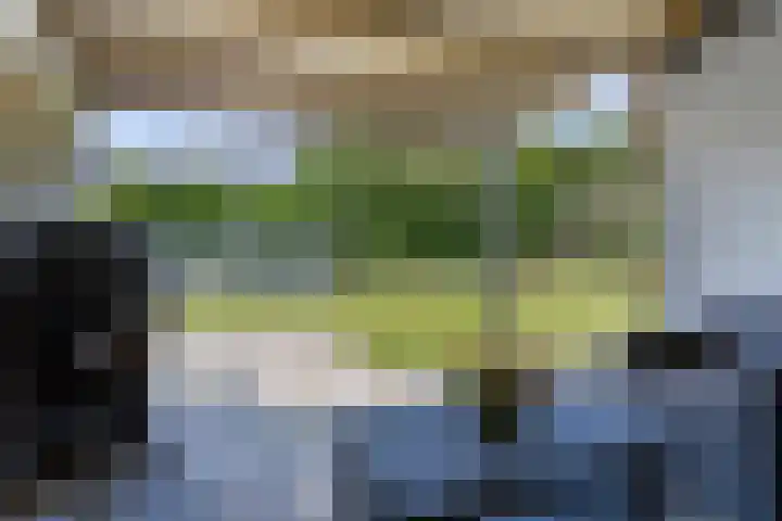 Gajus Nautastraat 71 Sneek thumbnail 38