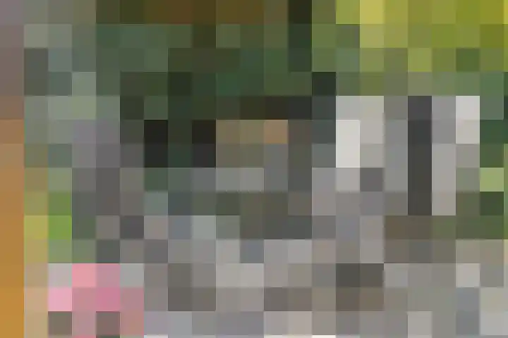Gajus Nautastraat 71 Sneek thumbnail 39