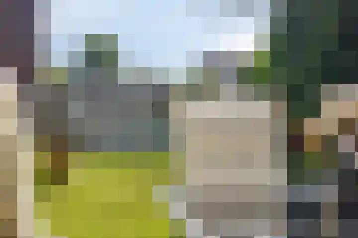 Gajus Nautastraat 71 Sneek thumbnail 40