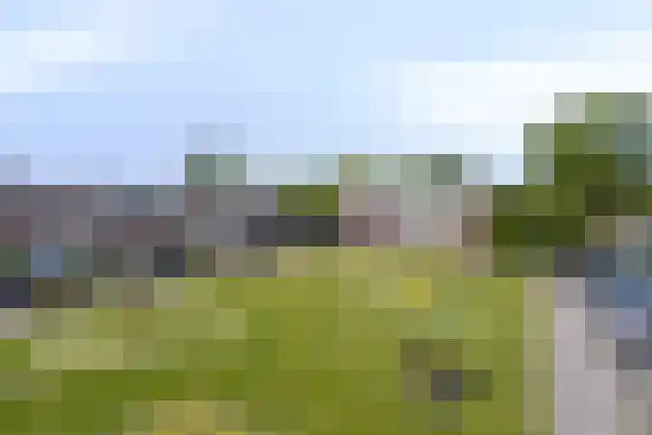 Gajus Nautastraat 71 Sneek thumbnail 43