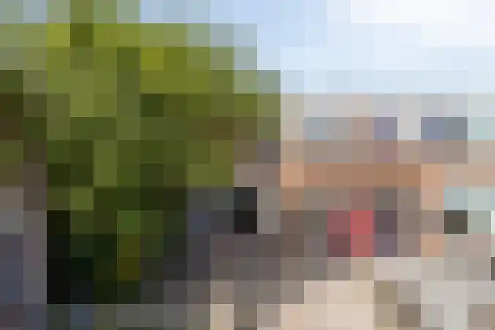 Gajus Nautastraat 71 Sneek thumbnail 49