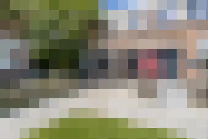Gajus Nautastraat 71 Sneek thumbnail 5