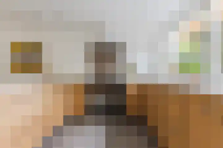 Galadriel 13 Geldrop thumbnail 16