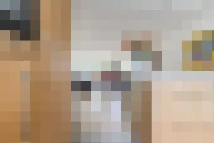 Galadriel 13 Geldrop thumbnail 19