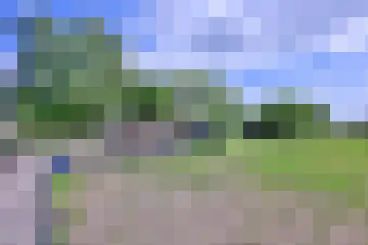 Galadriel 13 Geldrop thumbnail 31