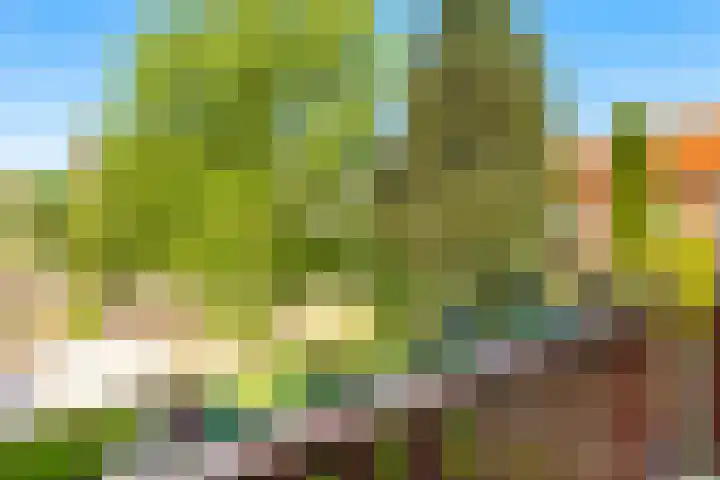Galadriel 13 Geldrop thumbnail 39