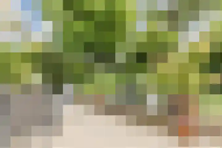 Galadriel 13 Geldrop thumbnail 47