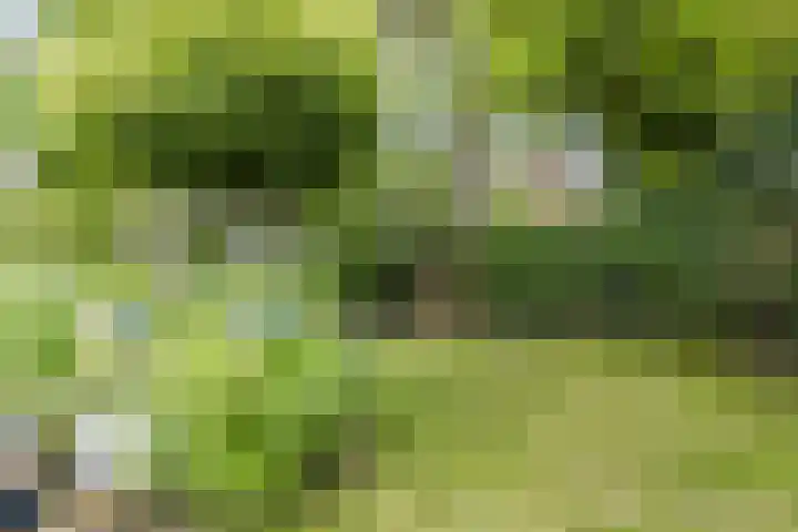 Galadriel 13 Geldrop thumbnail 53