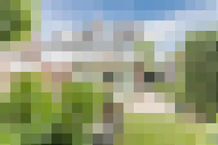 Galadriel 13 Geldrop thumbnail 54
