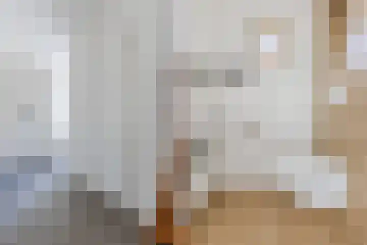 Galadriel 13 Geldrop thumbnail 7