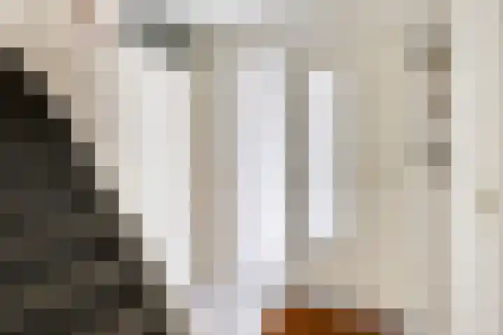 Galadriel 26 Geldrop thumbnail 11