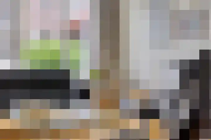 Galadriel 26 Geldrop thumbnail 14