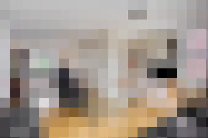 Galadriel 26 Geldrop thumbnail 16
