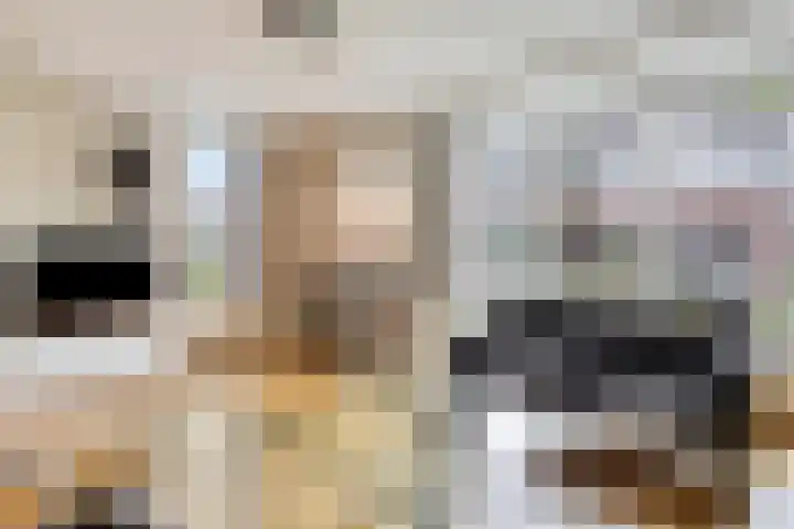 Galadriel 26 Geldrop thumbnail 17