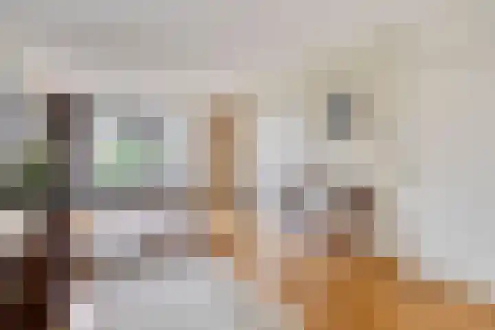 Galadriel 26 Geldrop thumbnail 18