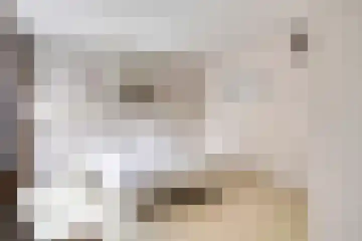 Galadriel 26 Geldrop thumbnail 26