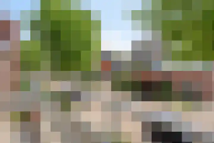 Galadriel 26 Geldrop thumbnail 28