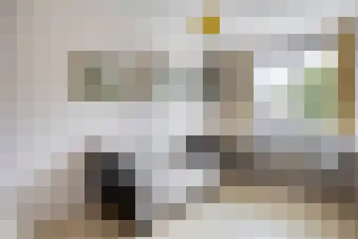 Galadriel 26 Geldrop thumbnail 29