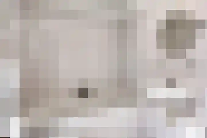 Galadriel 26 Geldrop thumbnail 32