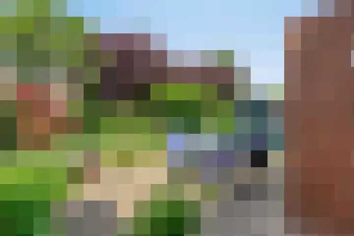 Galadriel 26 Geldrop thumbnail 38