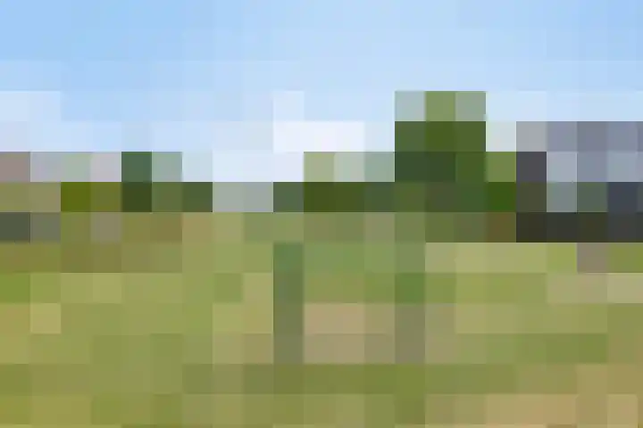 Galadriel 26 Geldrop thumbnail 39