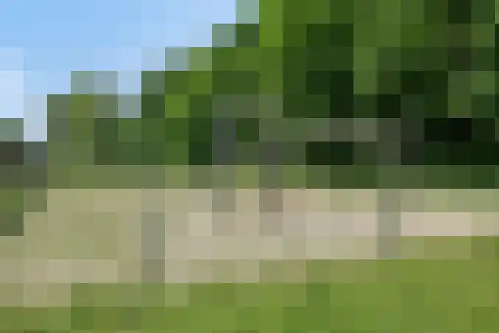 Galadriel 26 Geldrop thumbnail 40