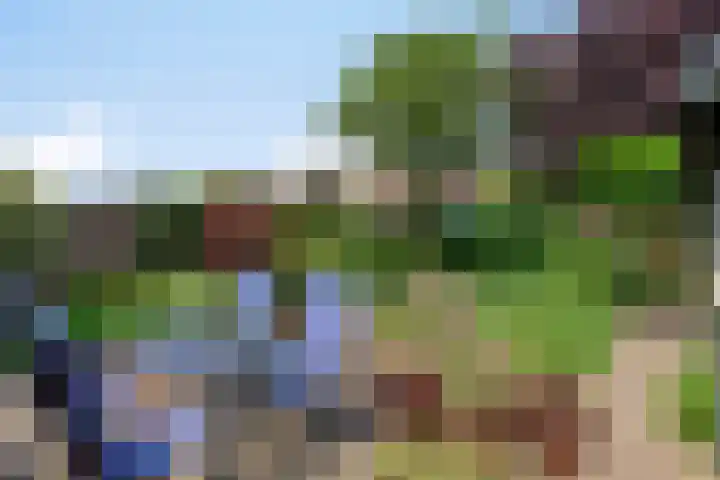 Galadriel 26 Geldrop thumbnail 6