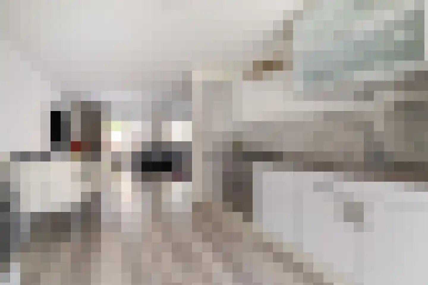 Galahof 4 Zoetermeer thumbnail 4