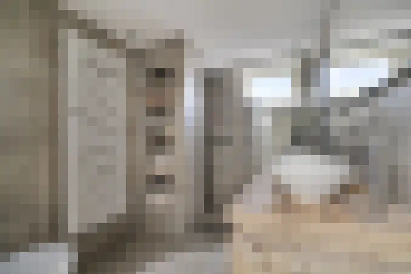 Galahof 4 Zoetermeer thumbnail 5
