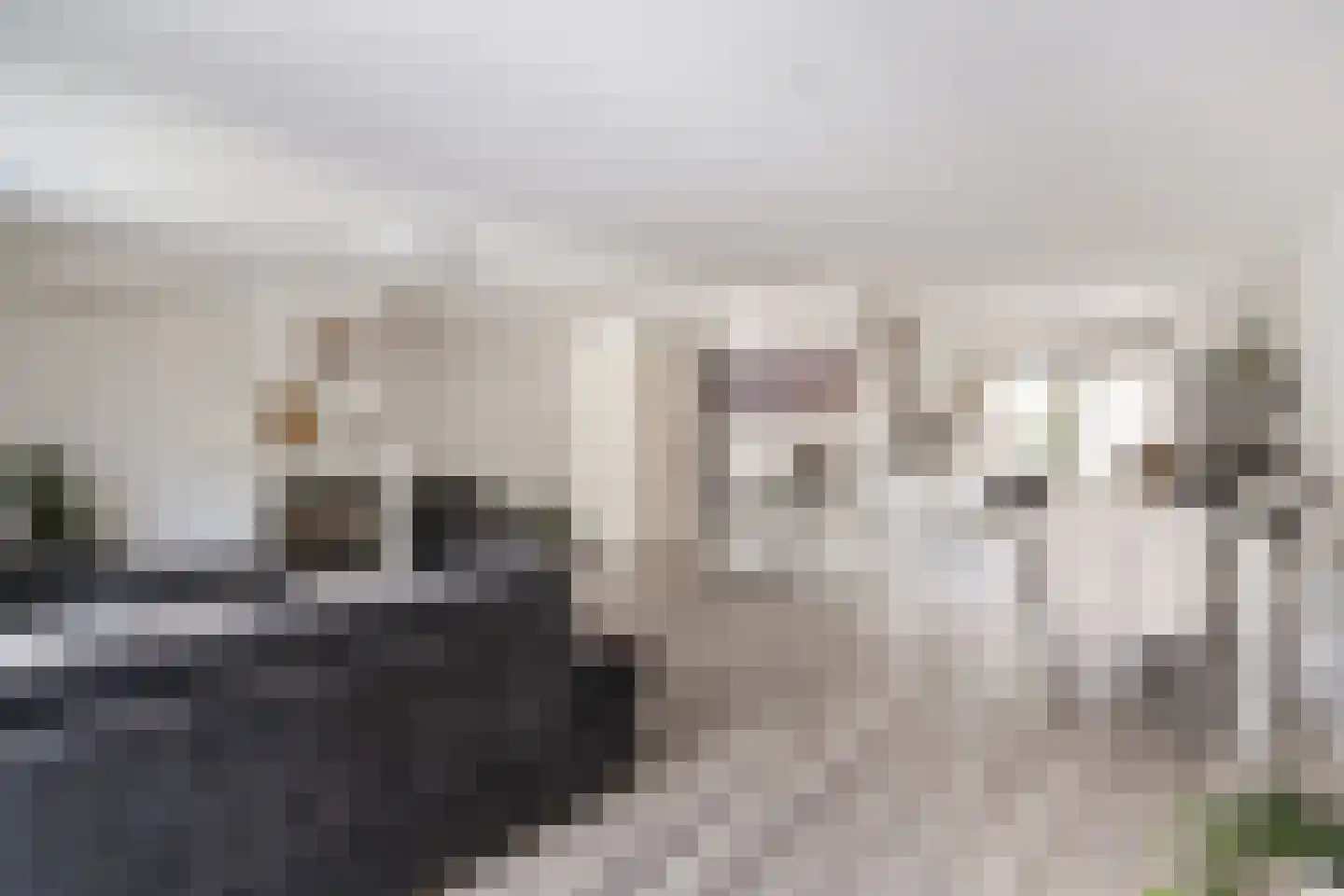 Galahof 4 Zoetermeer thumbnail 9