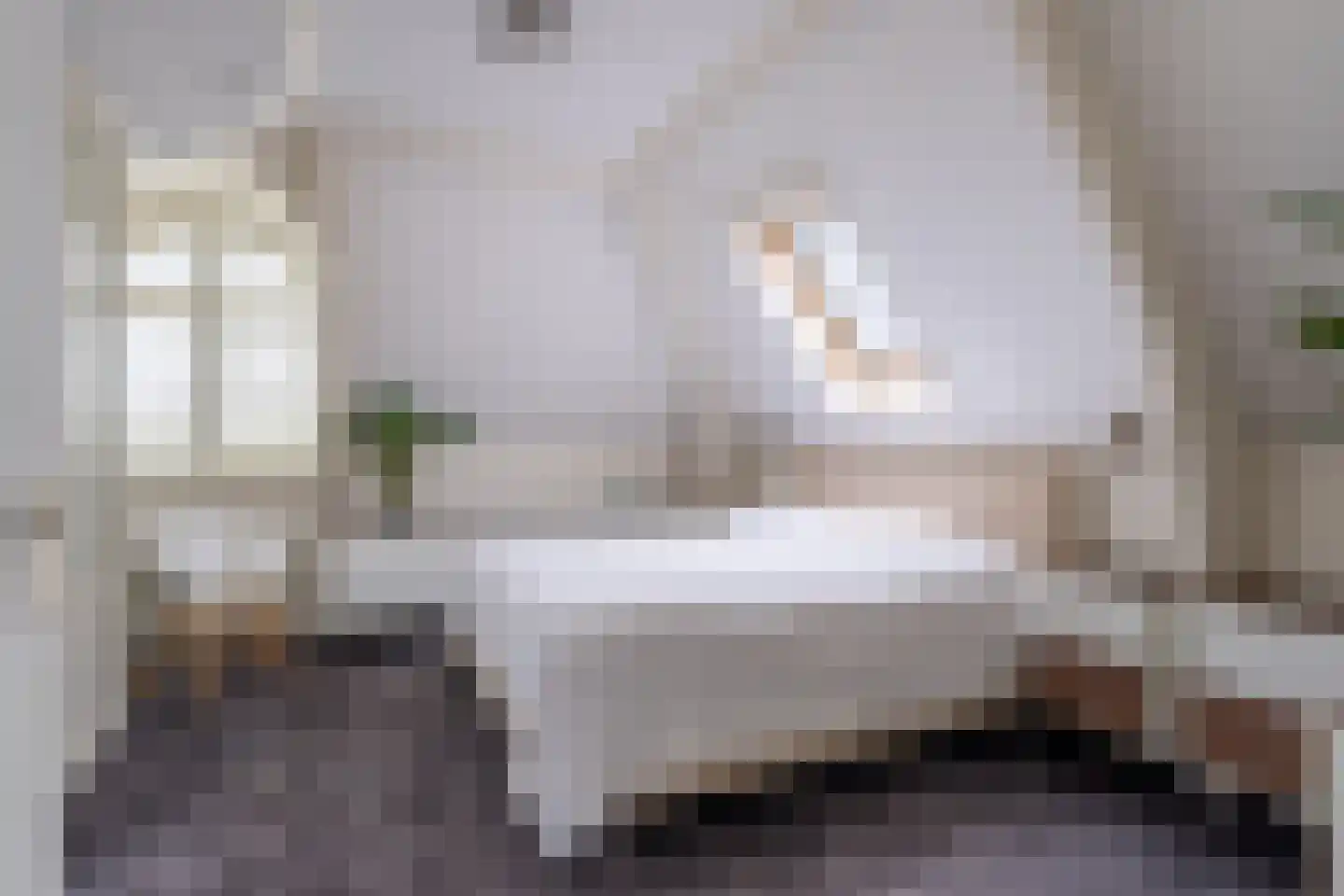 Galamagracht 10 IJlst thumbnail 4