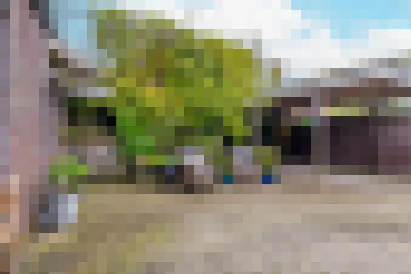 Galamagracht 10 IJlst thumbnail 85