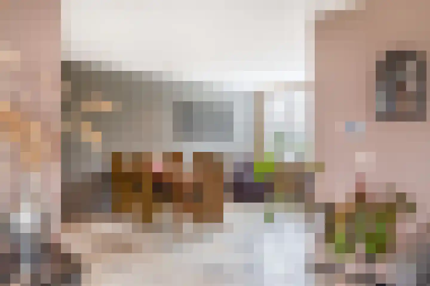 Galamalaan 16 Koudum thumbnail 11