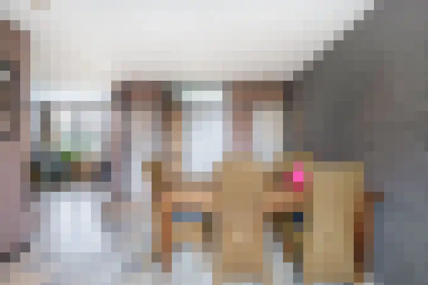 Galamalaan 16 Koudum thumbnail 12